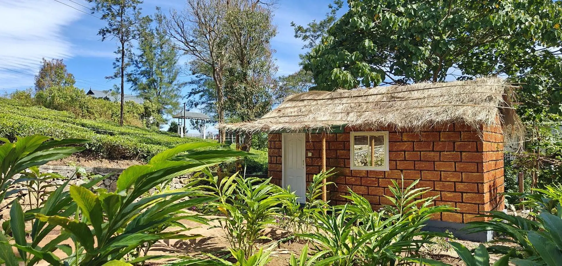 Vagamon Couples Stay Farm House India